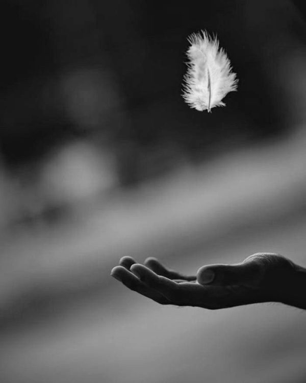 1 - MINDFULNESS: COME RIDURRE LO STRESS (NOVITÀ)
