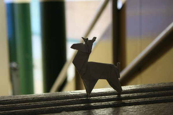 24 - ORIGAMI NOVITÀ