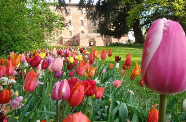 829 - Piemonte: l’abbazia di S. Maria di Vezzolano e Messer Tulipano al castello di Pralormo.