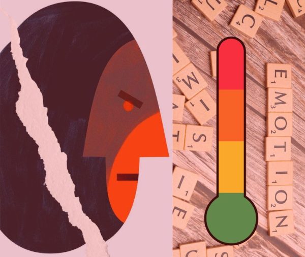 46 - IL TERMOMETRO DELL’AGGRESSIVITA’: UNA RIFLESSIONE PSICOLOGICA (NOVITÀ)