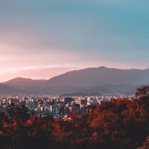 DALMINE - 137 GIAPPONE, UN "PIANETA STUPEFACENTE"