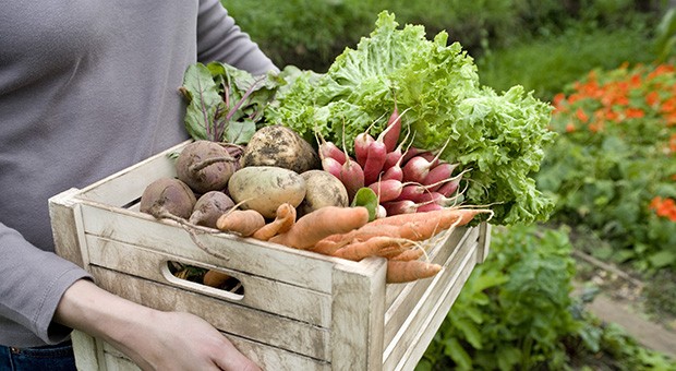 Conferenza Slow Food – Auser Treviglio