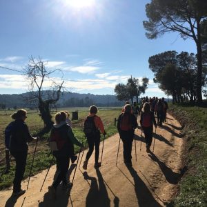 6 NORDIC WALKING accademico 1° livello